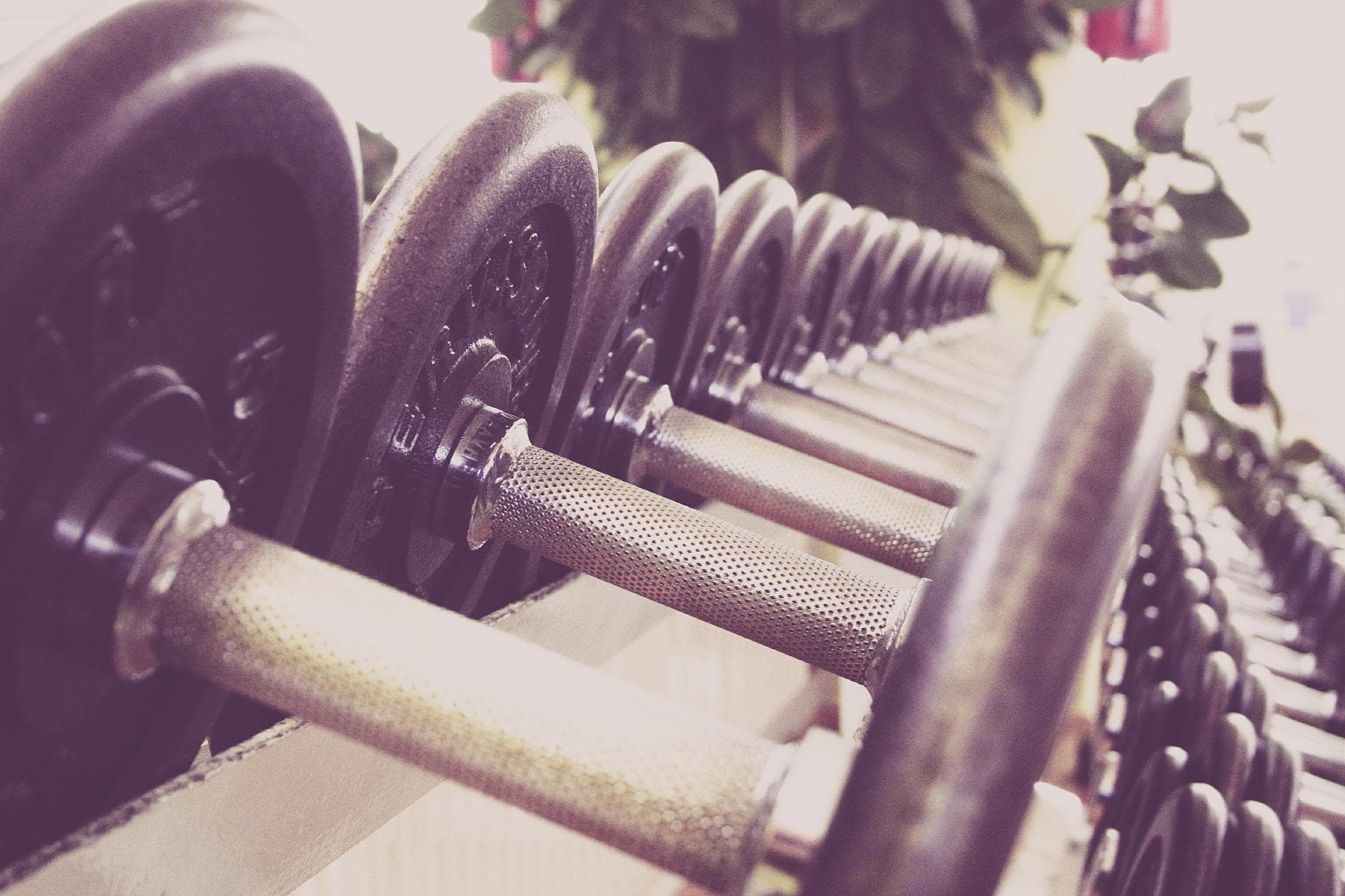 Polisen gjorde razzia mot gym
